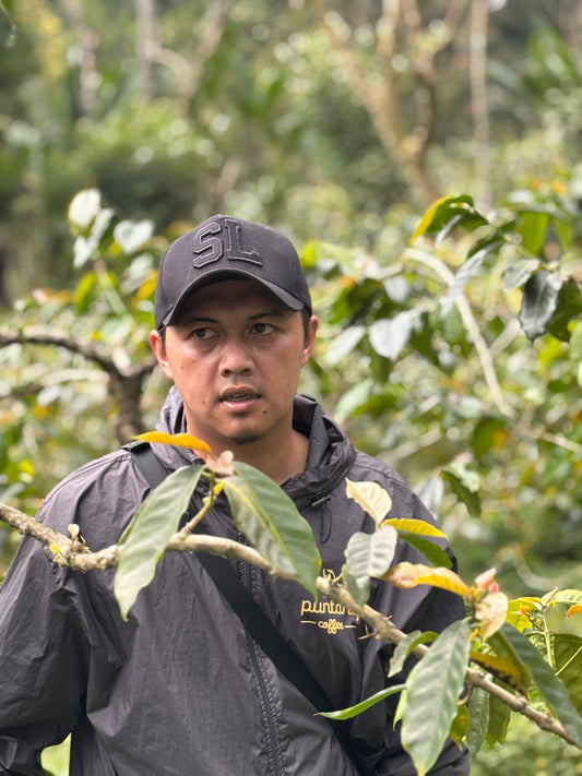 Zimt Zalabim - Espresso