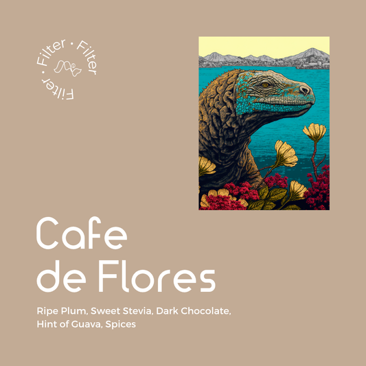 Cafe de Flores - Filter