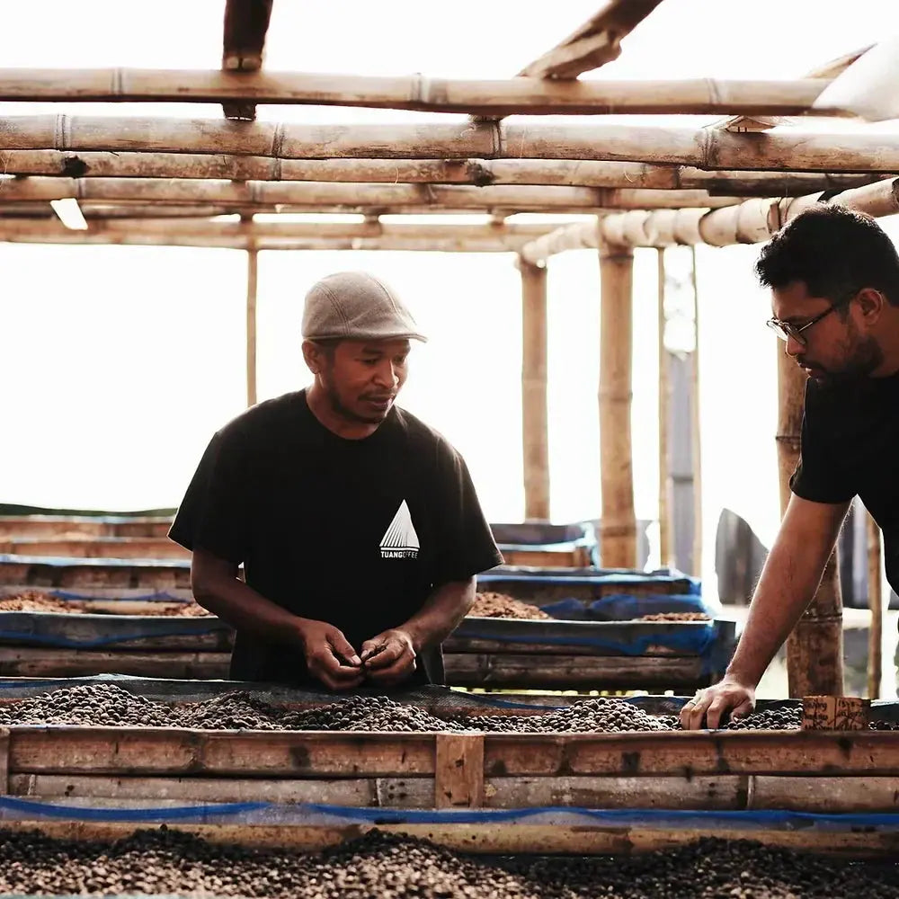 Tuang Coffee, Flores's Finest - Meramanis Coffee Roaster