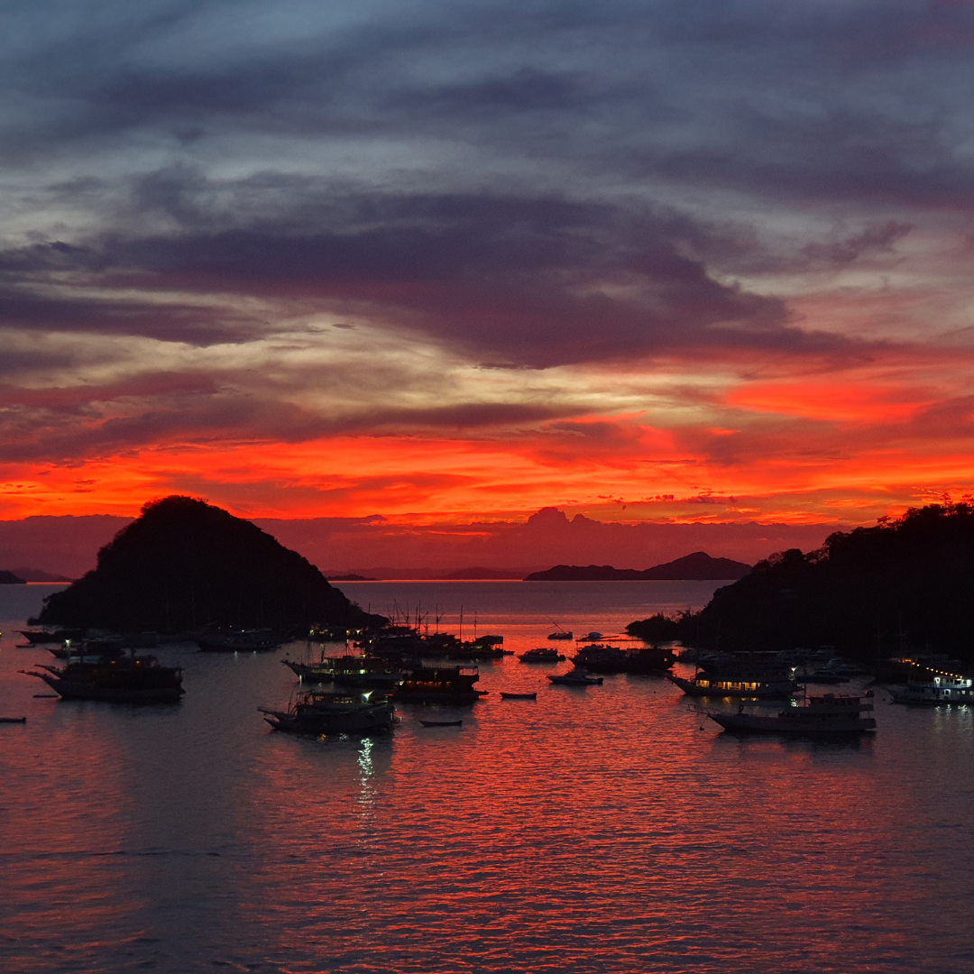 Cafe de Flores - Filter