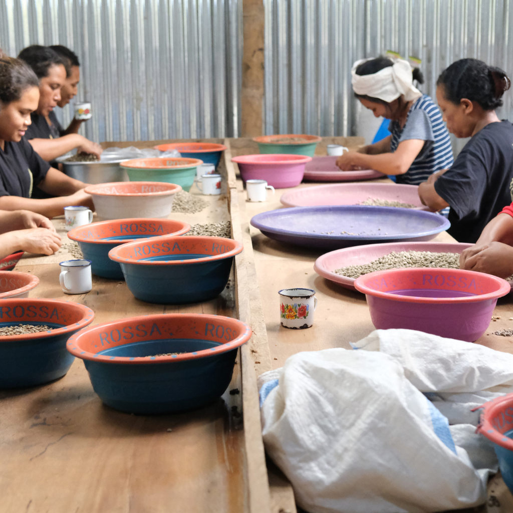 Cafe de Flores - Filter