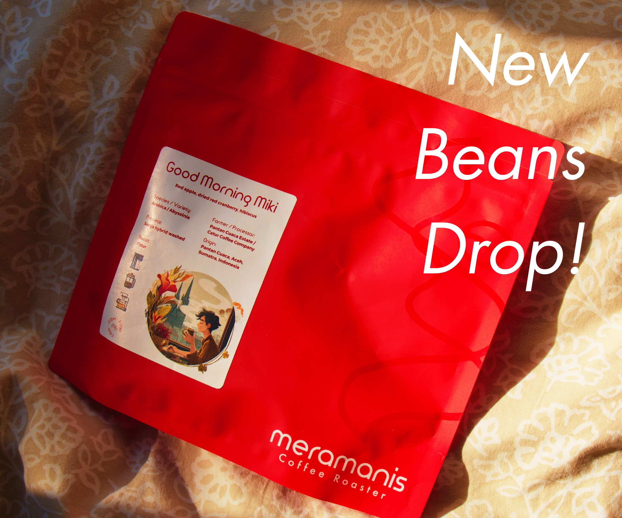 say hello to Good Morning Miki