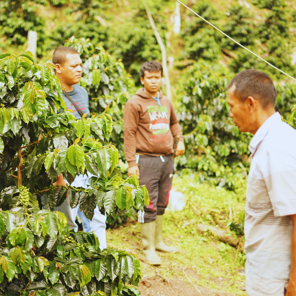 Manis Meriah – Espresso