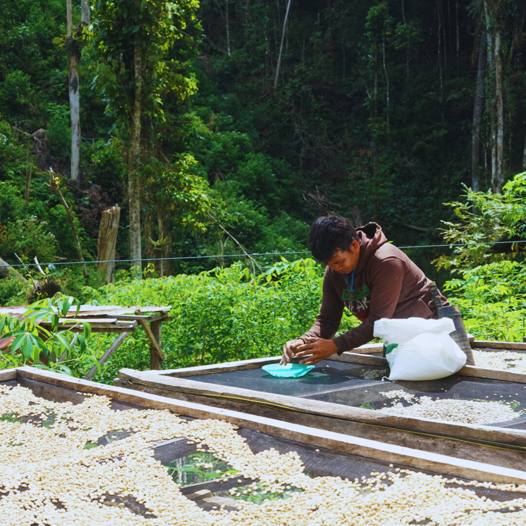 Manis Meriah – Espresso