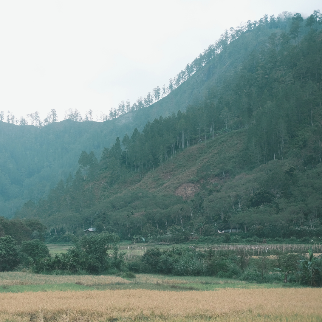 Manis Meriah – Espresso