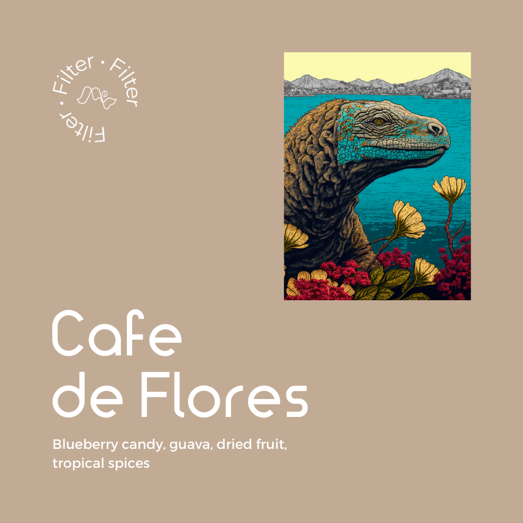 Cafe de Flores - Filter