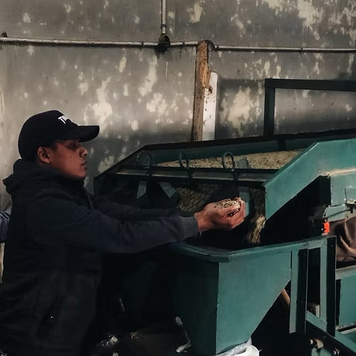 Senja di Goyang - Espresso - Meramanis Coffee Roaster