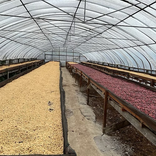 Senja di Goyang - Espresso - Meramanis Coffee Roaster